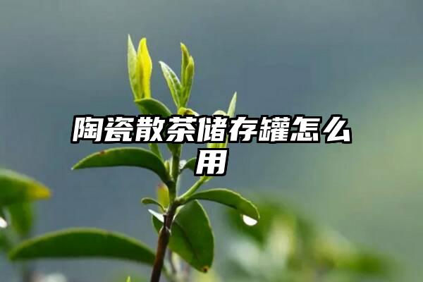 陶瓷散茶储存罐怎么用