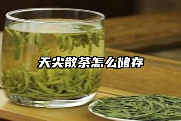 天尖散茶怎么储存