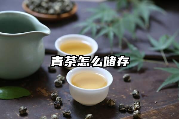 青茶怎么储存