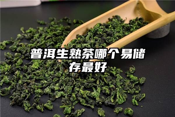 普洱生熟茶哪个易储存最好