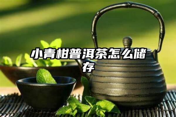 小青柑普洱茶怎么储存