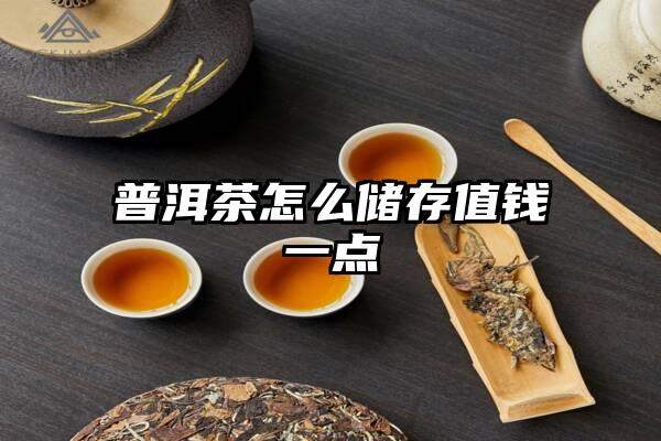 普洱茶怎么储存值钱一点