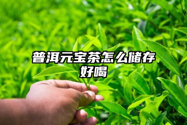 普洱元宝茶怎么储存好喝