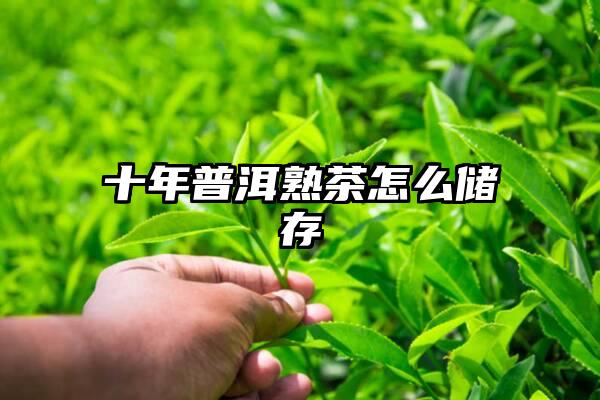 十年普洱熟茶怎么储存