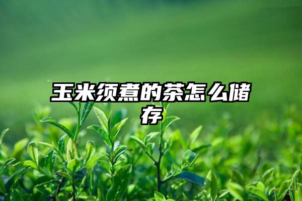 玉米须煮的茶怎么储存