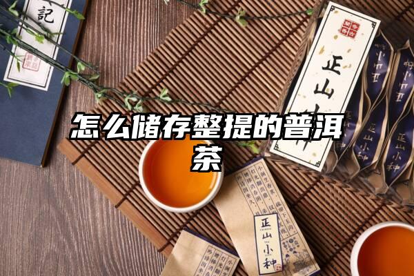 怎么储存整提的普洱茶