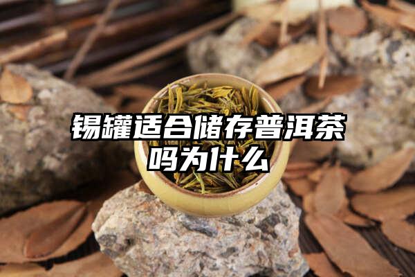 锡罐适合储存普洱茶吗为什么