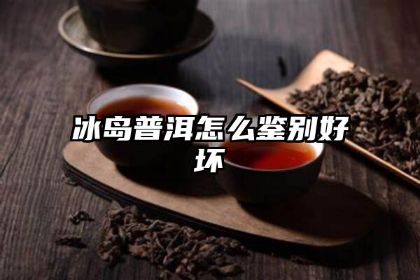 冰岛普洱怎么鉴别好坏