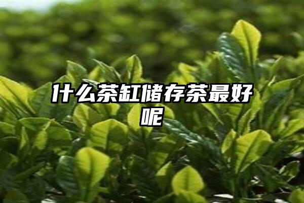 什么茶缸储存茶最好呢