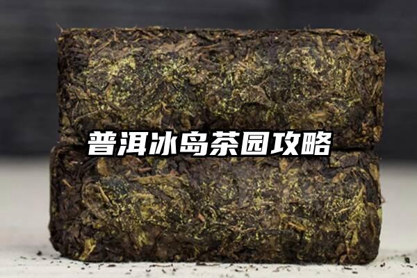 普洱冰岛茶园攻略