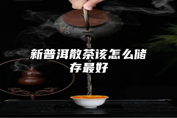 新普洱散茶该怎么储存最好