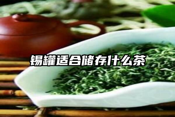 锡罐适合储存什么茶