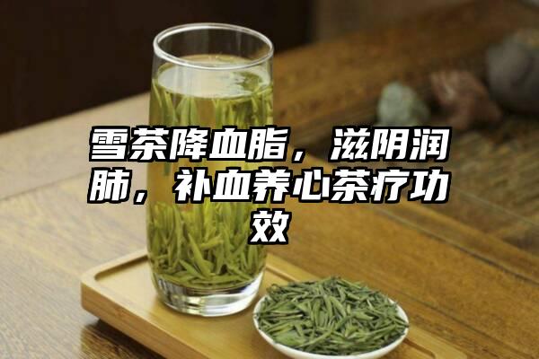 雪茶降血脂，滋阴润肺，补血养心茶疗功效