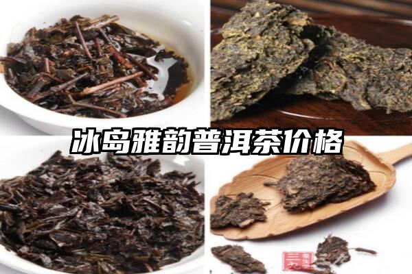 冰岛雅韵普洱茶价格