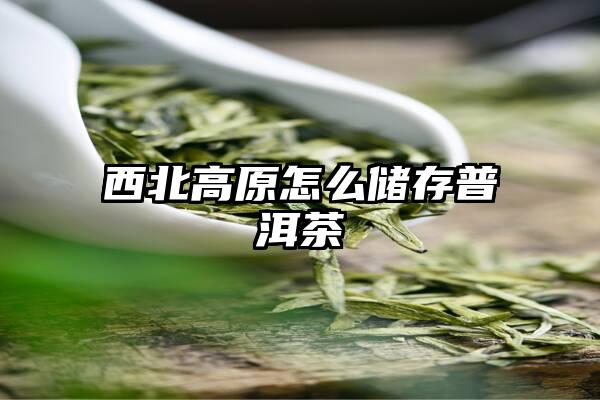 西北高原怎么储存普洱茶