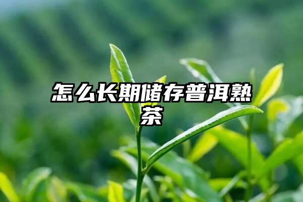 怎么长期储存普洱熟茶