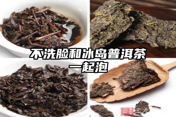 不洗脸和冰岛普洱茶一起泡