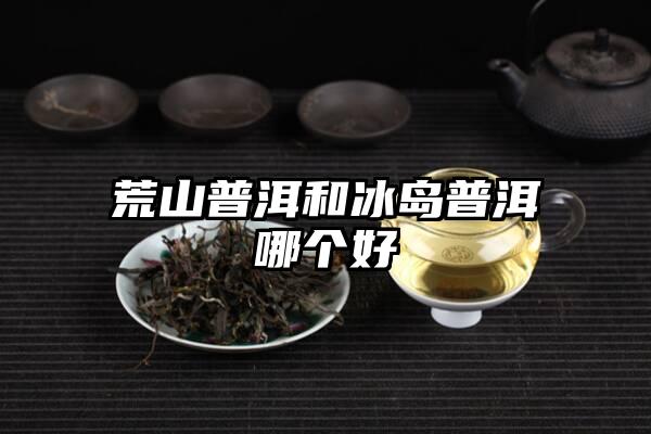 荒山普洱和冰岛普洱哪个好