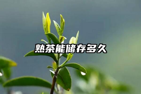 熟茶能储存多久