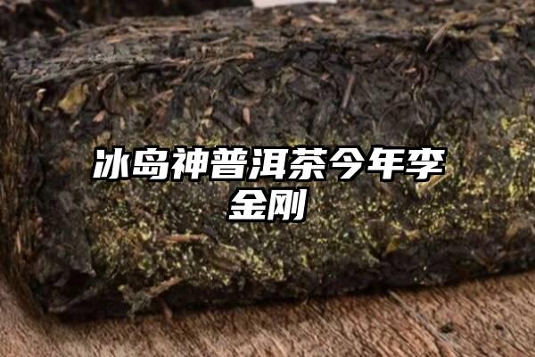 冰岛神普洱茶今年李金刚