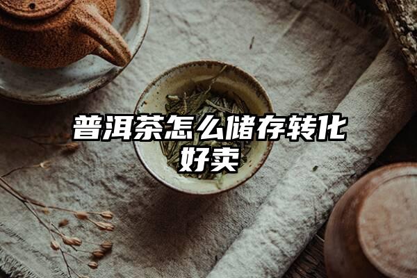 普洱茶怎么储存转化好卖