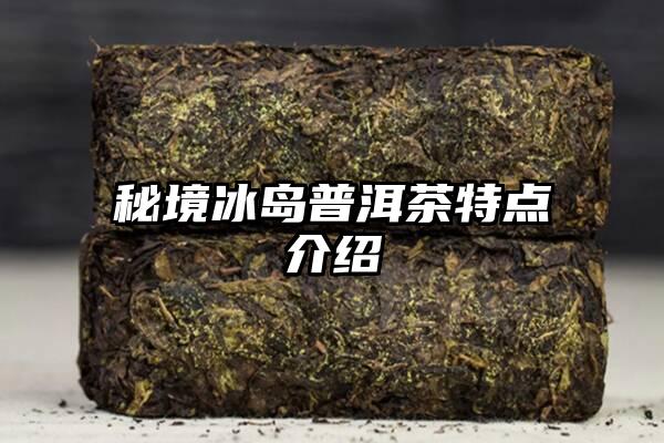 秘境冰岛普洱茶特点介绍