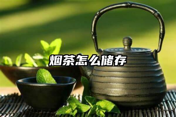 烟茶怎么储存