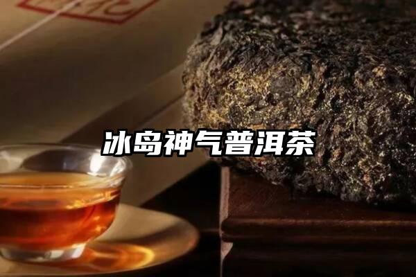 冰岛神气普洱茶