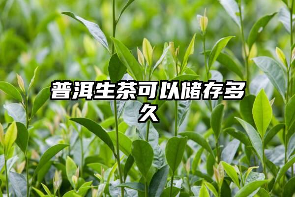 普洱生茶可以储存多久