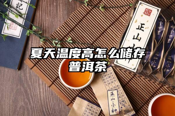 夏天温度高怎么储存普洱茶