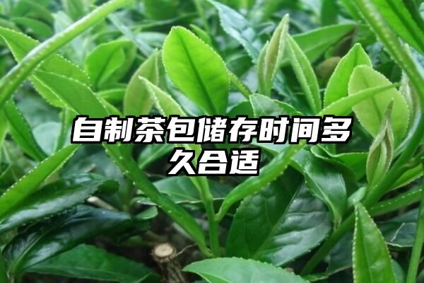 自制茶包储存时间多久合适