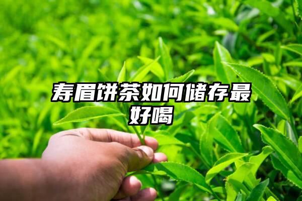 寿眉饼茶如何储存最好喝