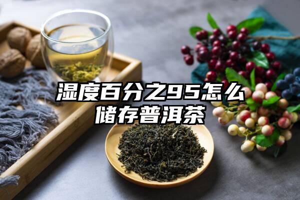 湿度百分之95怎么储存普洱茶