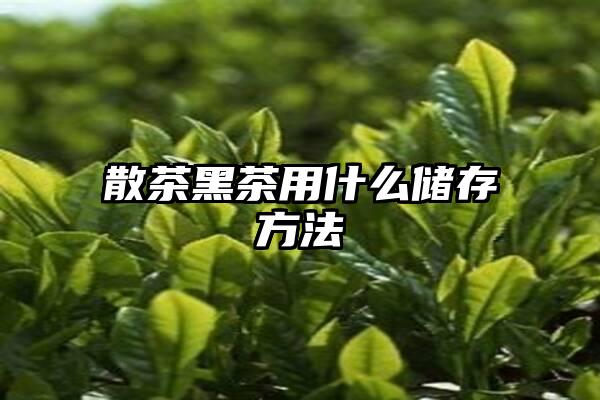 散茶黑茶用什么储存方法