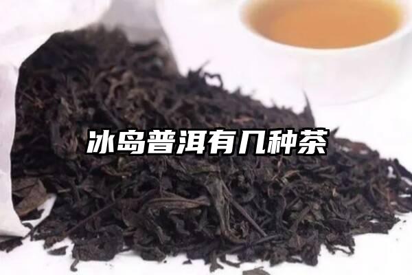 冰岛普洱有几种茶