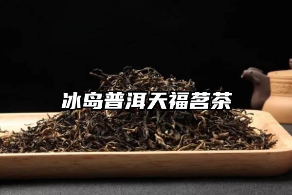 冰岛普洱天福茗茶