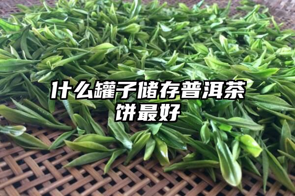 什么罐子储存普洱茶饼最好