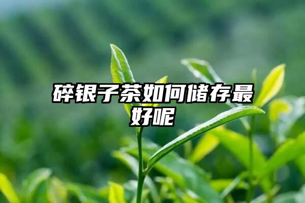 碎银子茶如何储存最好呢