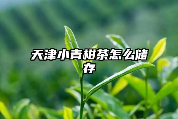 天津小青柑茶怎么储存