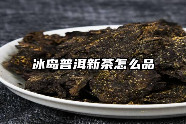 冰岛普洱新茶怎么品