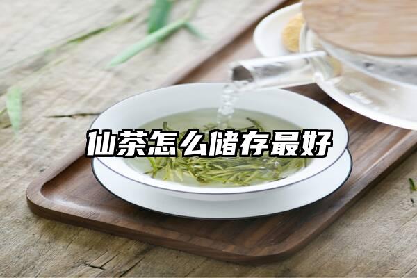 仙茶怎么储存最好