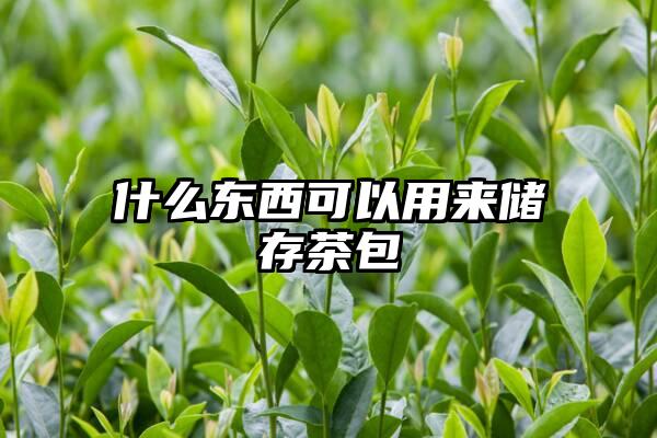 什么东西可以用来储存茶包