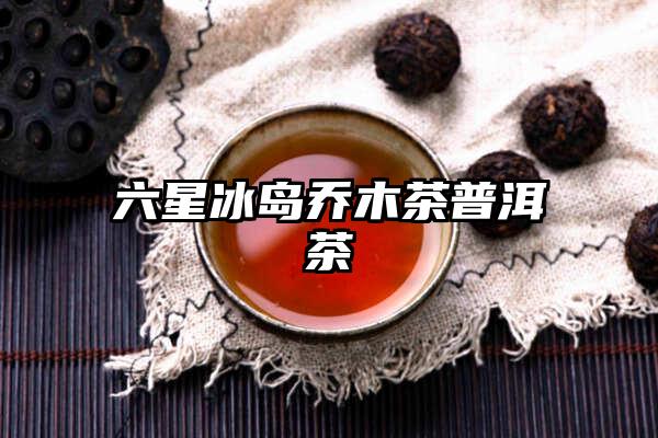 六星冰岛乔木茶普洱茶