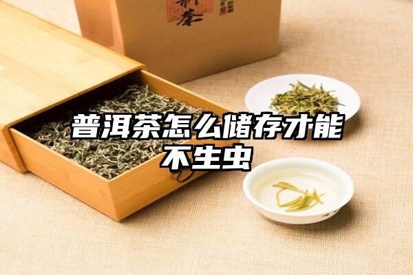 普洱茶怎么储存才能不生虫