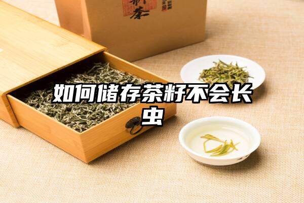 如何储存茶籽不会长虫