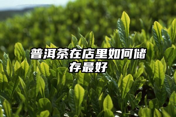 普洱茶在店里如何储存最好