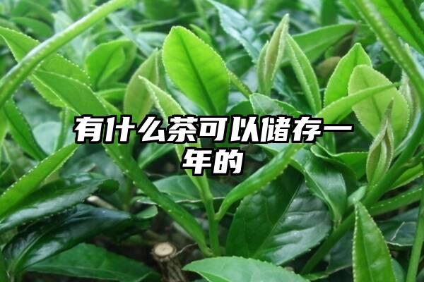 有什么茶可以储存一年的