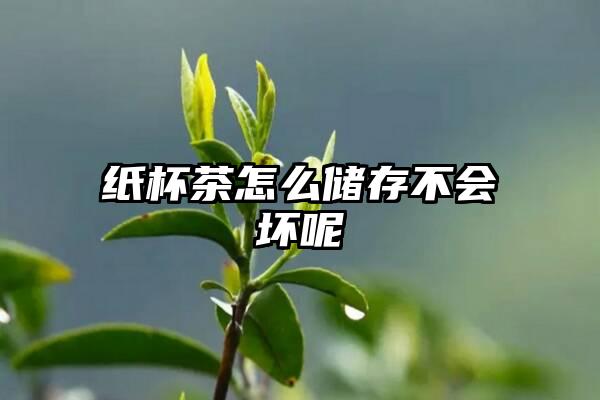 纸杯茶怎么储存不会坏呢