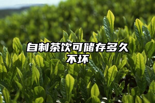 自制茶饮可储存多久不坏