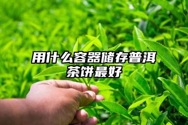 用什么容器储存普洱茶饼最好